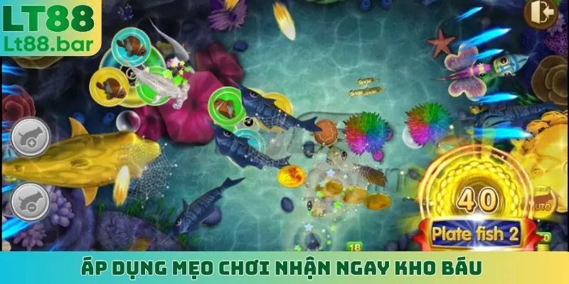 Áp dụng mẹo chơi nhận ngay kho báu