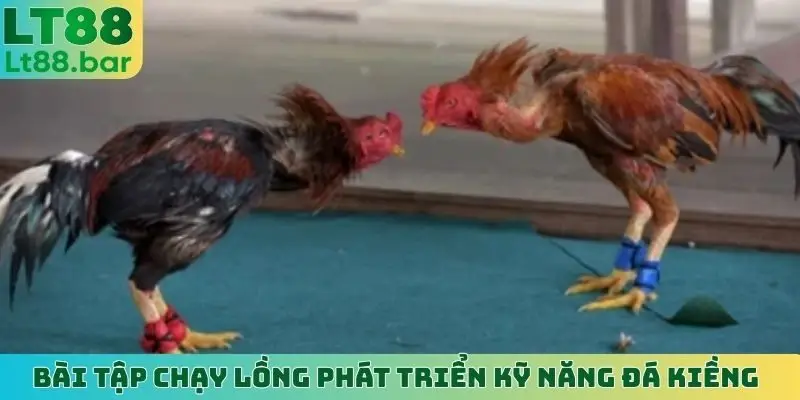 Bài tập chạy lồng phát triển kỹ năng đá kiềng