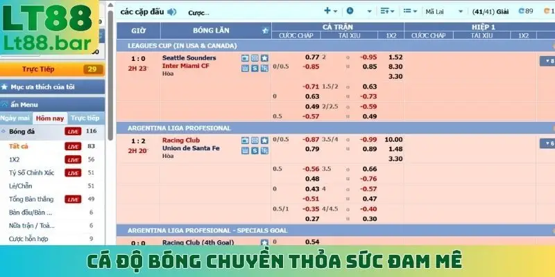 Cá độ bóng chuyền thỏa sức đam mê