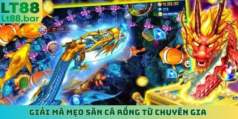 Giải mã mẹo Săn Cá Rồng từ chuyên gia