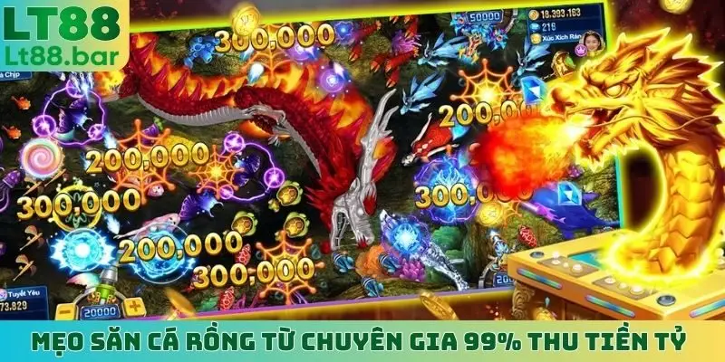 mẹo săn cá rồng
