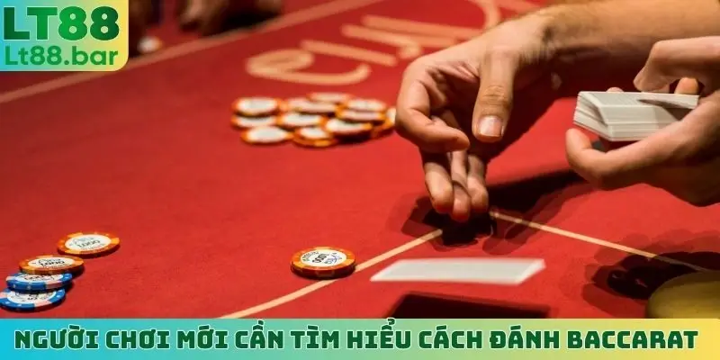 Người chơi mới cần tìm hiểu cách đánh Baccarat