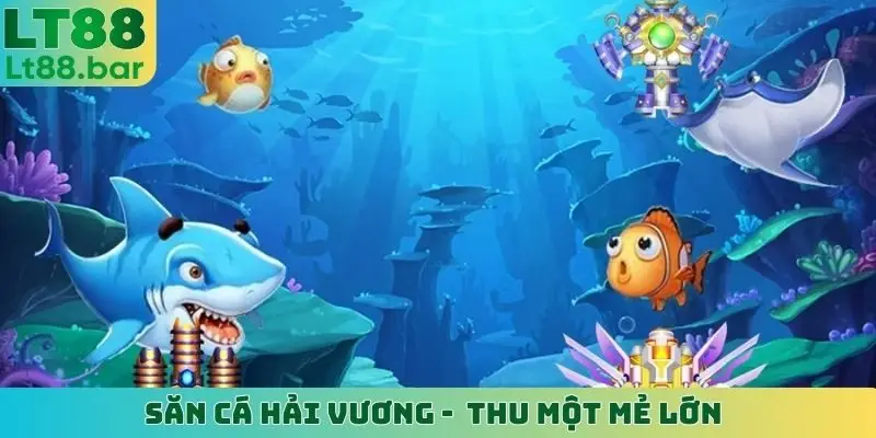 săn cá hải vương