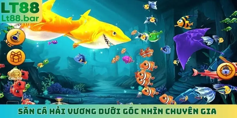 Săn cá Hải Vương dưới góc nhìn chuyên gia