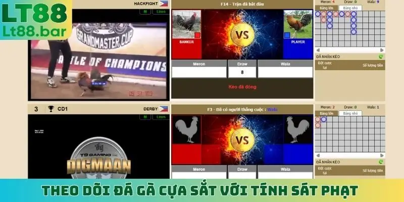 Theo dõi đá gà cựa sắt với tính sát phạt