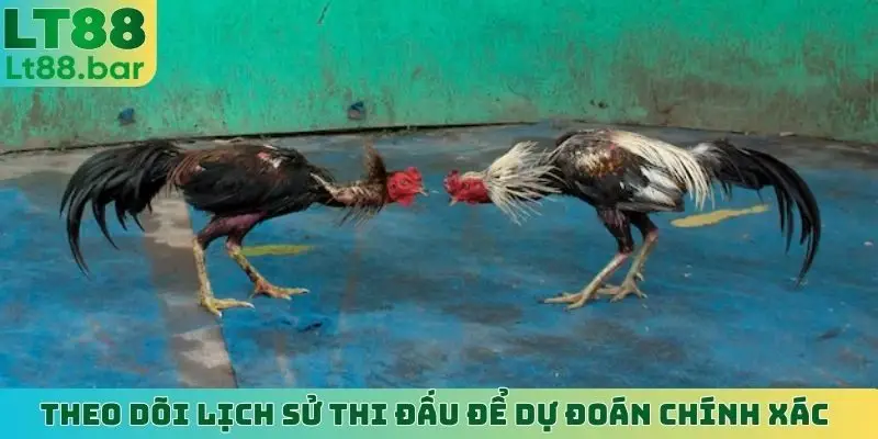 Theo dõi lịch sử thi đấu để dự đoán chính xác
