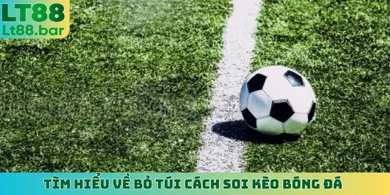 Tìm hiểu về bỏ túi cách soi kèo bóng đá