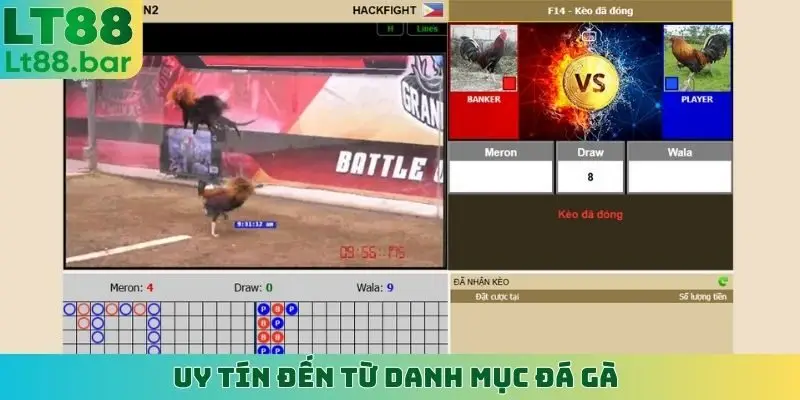 Uy tín đến từ danh mục đá gà